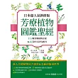 日本超人氣新修版 芳療植物圖鑑聖經：113種彩繪芳療植物介紹&48款生活香氛配方收錄