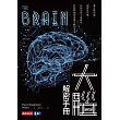 大腦解密手冊：誰在做決策、現實是什麼、為何沒有人是孤島、科技將如何改變大腦的未來