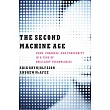 The Second Machine Age: Work, Progress, and Prosperity in a Time of Brilliant Technologies