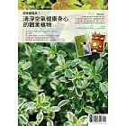 花草遊戲No.74 居家變森林！清淨空氣健康身心的觀葉植物