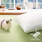 【POLO】台灣精製雙重防蹣抗菌潔淨羊毛枕-1入