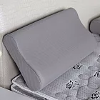 【Air】貝妮3D工學型科技乳膠枕-二入