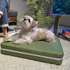 【Air】康福寵物專用舒適獨立筒墊綠色