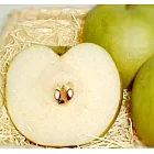 【優鮮配】梨中清流-頂級日本鳥取二十世紀梨(5kg/箱/12顆)