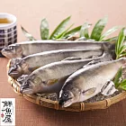 【鮮魚屋】宜蘭超大隻爆卵母香魚1kg