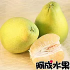 【阿成水果】台南麻豆文旦(5~7粒/約5台斤x2件)