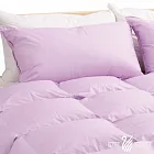 【遊遍天下】MIT台灣製舒眠羽絨枕(二入)夢幻紫