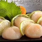 上野物產-日本生食級干貝x20顆 (S等級)