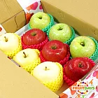 【鮮果日誌】蘋安喜樂三色禮盒（9入禮盒裝)
