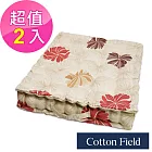 棉花田【蜜莉恩】印花立體胖胖墊(二件組)
