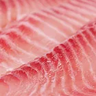 【那魯灣】頂級鯛魚切片4片 (每包5片500g)