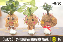 禪意植栽8折