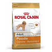 法國皇家PRP-30貴賓成犬-1.5kg