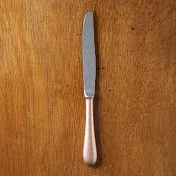 【Aoyoshi 青芳製作所】香檳金霧面不鏽鋼餐刀