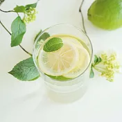 [青淞禾樂 Green in Cheers] 檸檬薄荷水