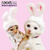 【摩達客寵物】超萌秒變兔兔耳造型寵物帽/貓咪狗狗頭套(白色系)手工縫製無S (3~4公斤)