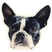 擬真動物滑鼠墊49折