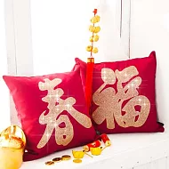迎春福到好運抱枕(一組兩入)-富貴金