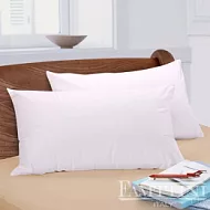 【Famttini】國際專利物理性防蹣舒眠枕-1入