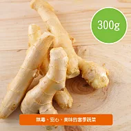 【陽光市集】陽光農業-新嫩薑(300g/盒)