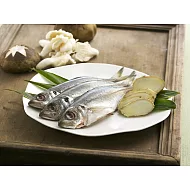 {天和鮮物}澎湖竹莢魚