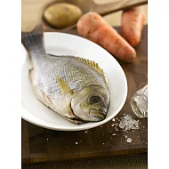 {天和鮮物}黃雞魚