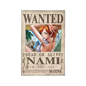 海賊王娜美懸賞拼圖204片