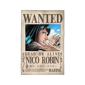 海賊王羅賓懸賞拼圖204片