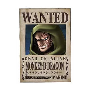 海賊王多拉格懸賞拼圖204片