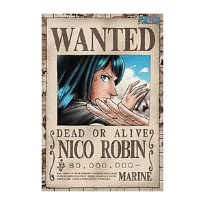 海賊王羅賓懸賞夜光拼圖300片