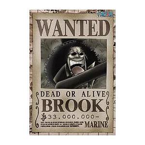 海賊王布魯克懸賞夜光拼圖300片