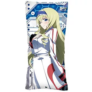 I S -中型抱枕- (2)