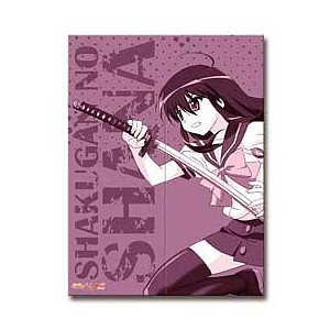 夏娜-門簾-紫色戰鬥風