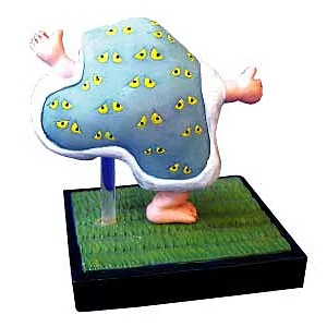 鬼太郎原著模型 目目連