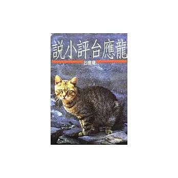 龍應台評小說