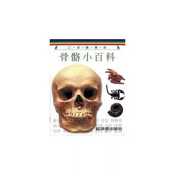 骨骼小百科