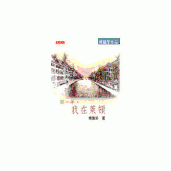 那一年，我在萊頓