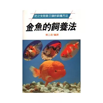 金魚的飼養法