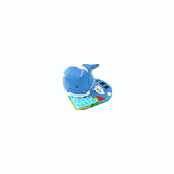小鯨魚