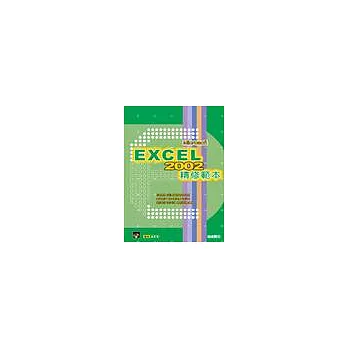 Excel 2002 精修範本