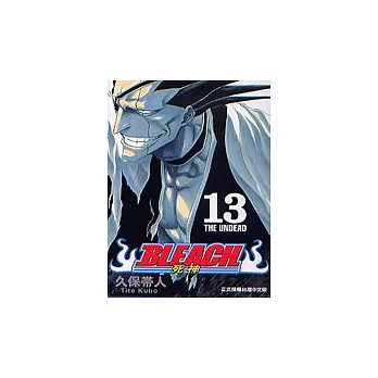 BLEACH 死神 13