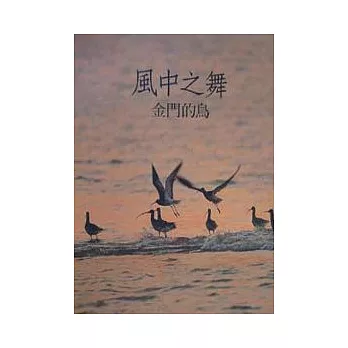 風中之舞金門的鳥