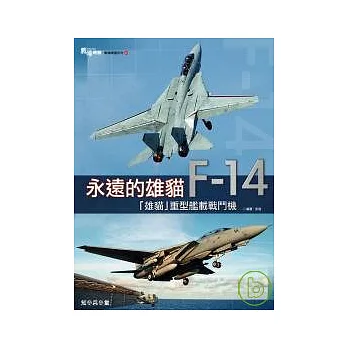 永遠的雄貓 F-14