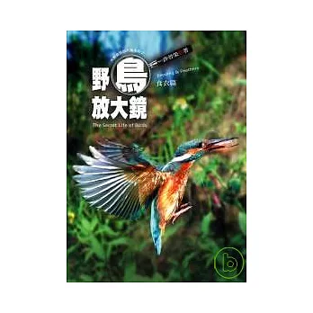 野鳥放大鏡﹝食衣篇﹞