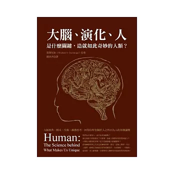 大腦、演化、人：是什麼關鍵，造就如此奇妙的人類？