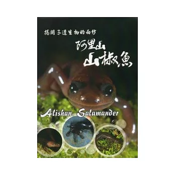 揭開孑遺生物的面紗：阿里山山椒魚 [DVD]