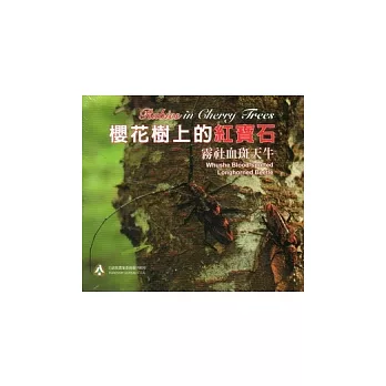 櫻花樹上的紅寶石：霧社血斑天牛(無書，DVD)