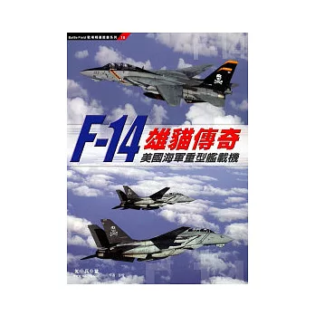 雄貓傳奇：F-14美國海軍重型艦載機