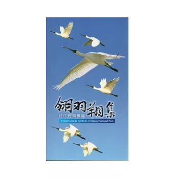 翎羽翔集：台江野鳥圖鑑