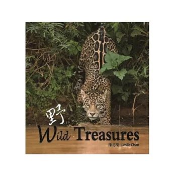 野 Wild Treasures
